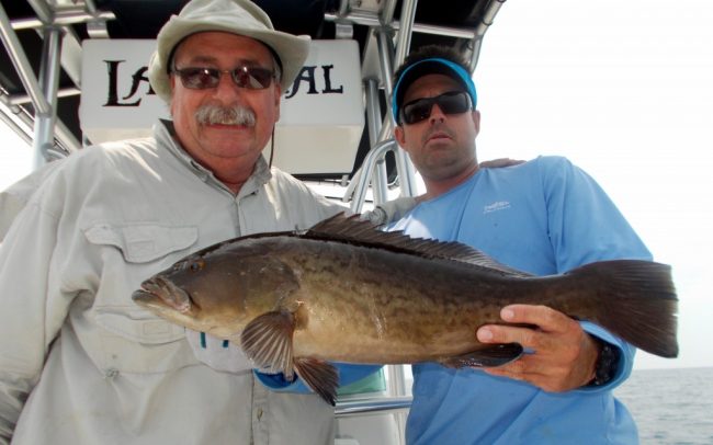 florida 092 (2)1
