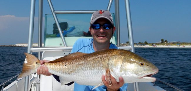 Brunworth redfish