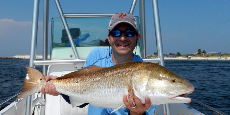 Brunworth redfish