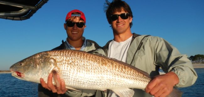 Last Local Guide Service- Panama City Beach, Redfish