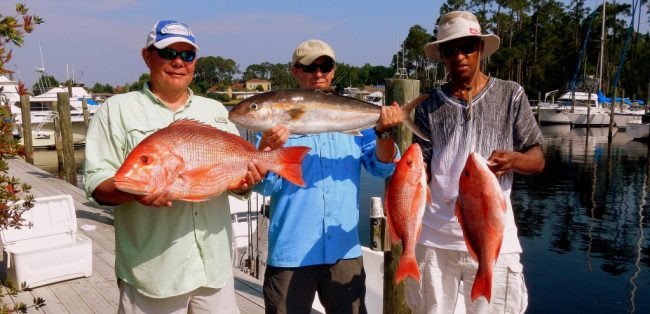 Last Local Guide Service- Red Snapper (Dillon)